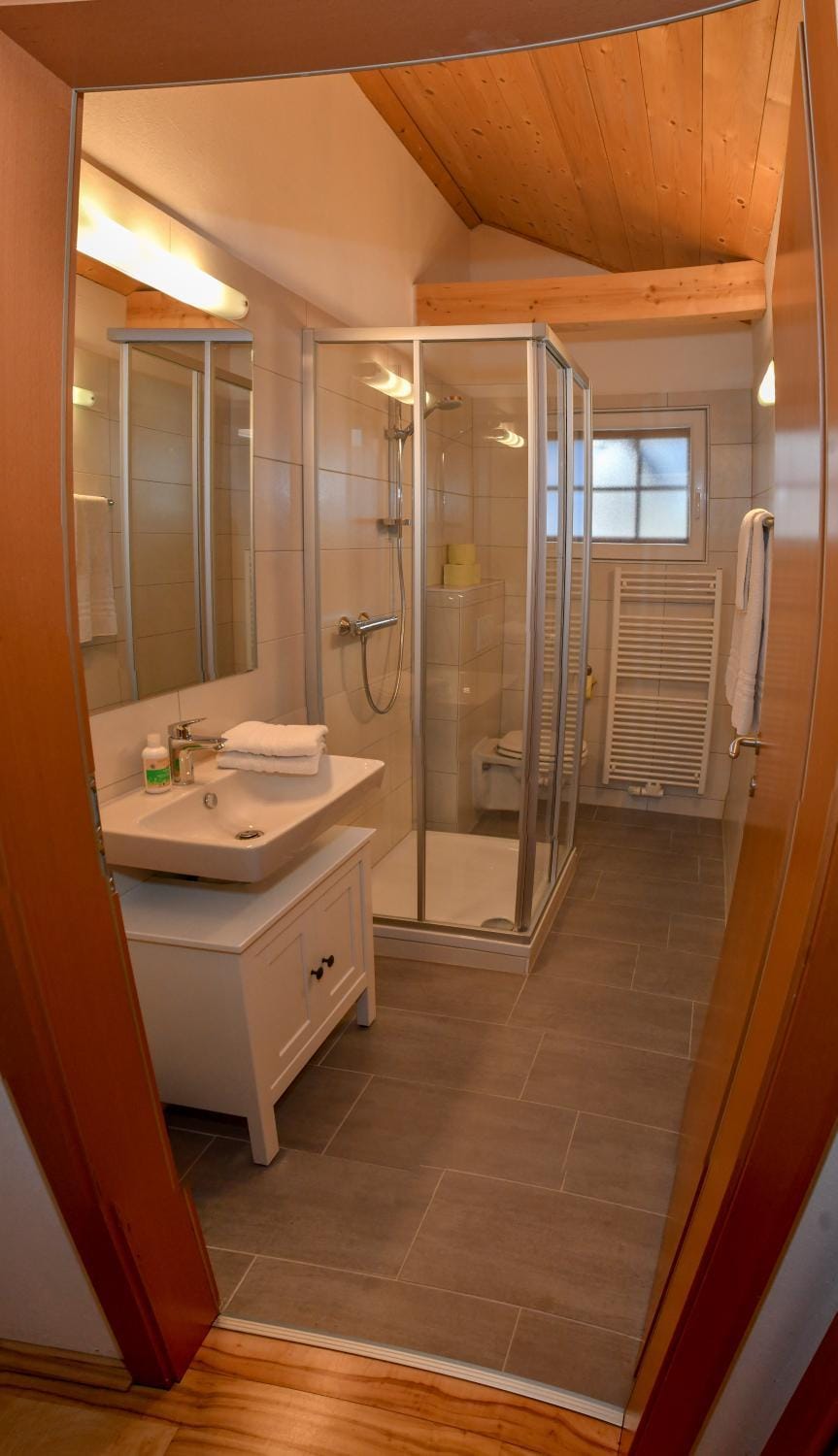 Shower, Toilet, Bathroom, Photo of the whole room