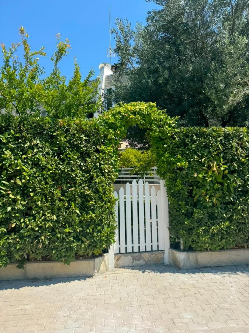 Garden view
