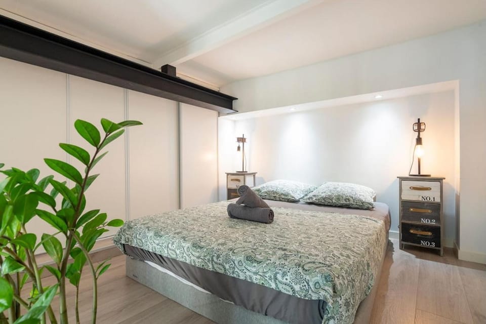 Unique 2 biens en 1, clim, moderne, plage à 300m Apartment in Nice