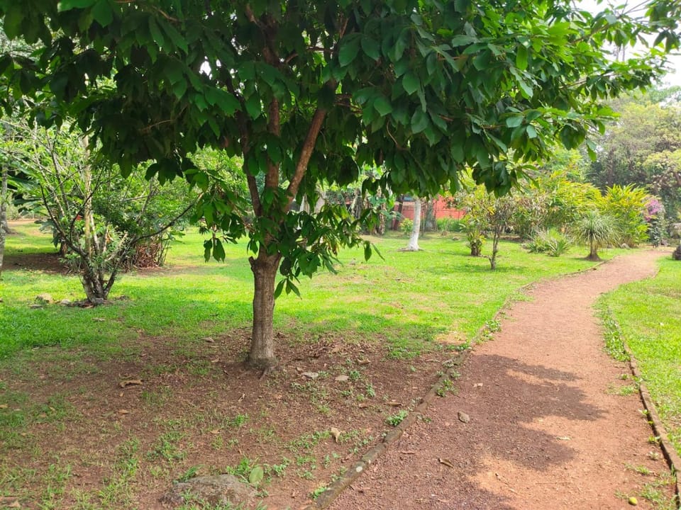 Children play ground
