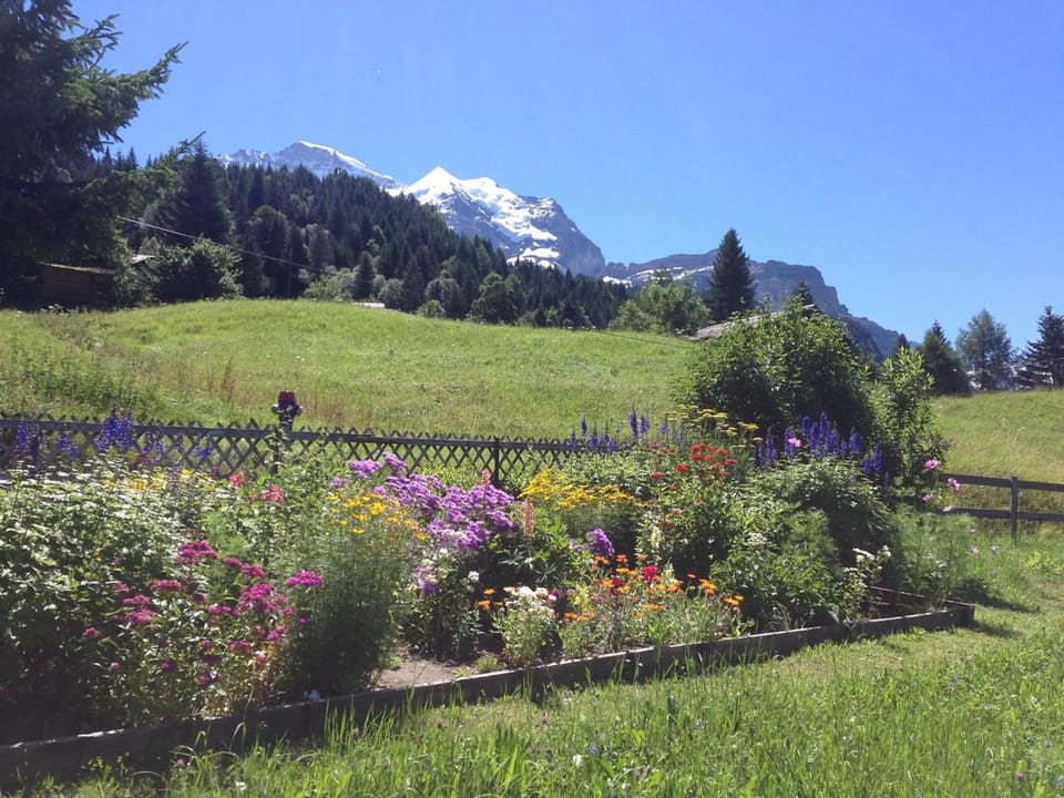 Natural landscape, Summer, Garden, View (from property/room), View (from property/room), Landmark view, Landmark view