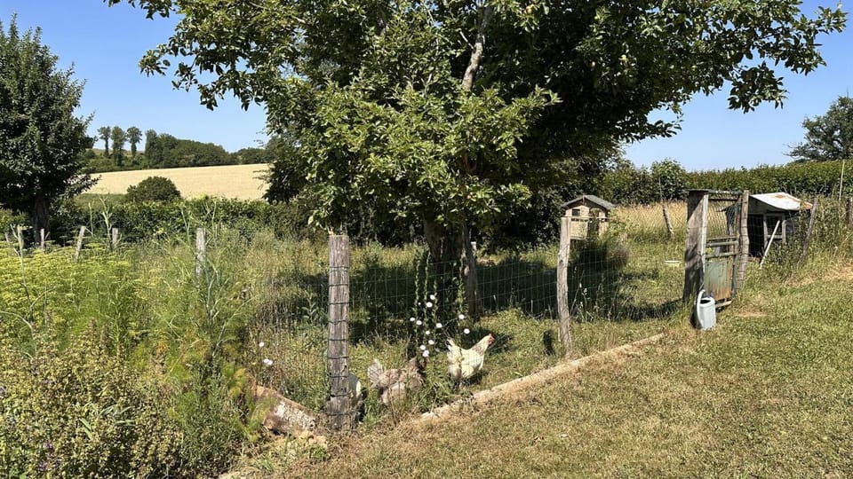 Garden, Garden view
