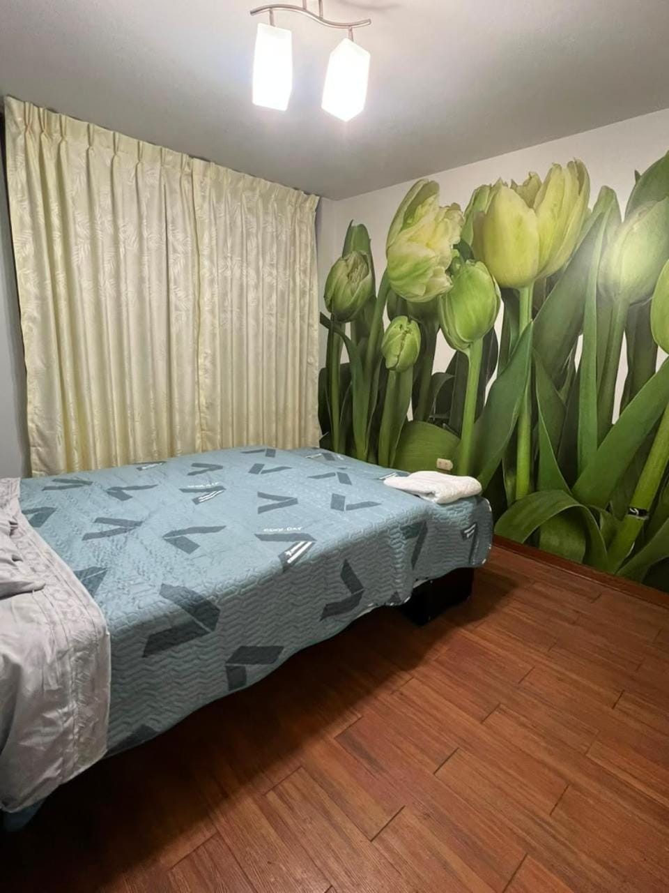 Las palmeras Apartment in Los Olivos