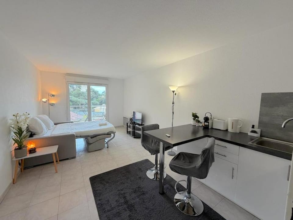 Charming cozy studio with sunny balcony Apartment in Nice