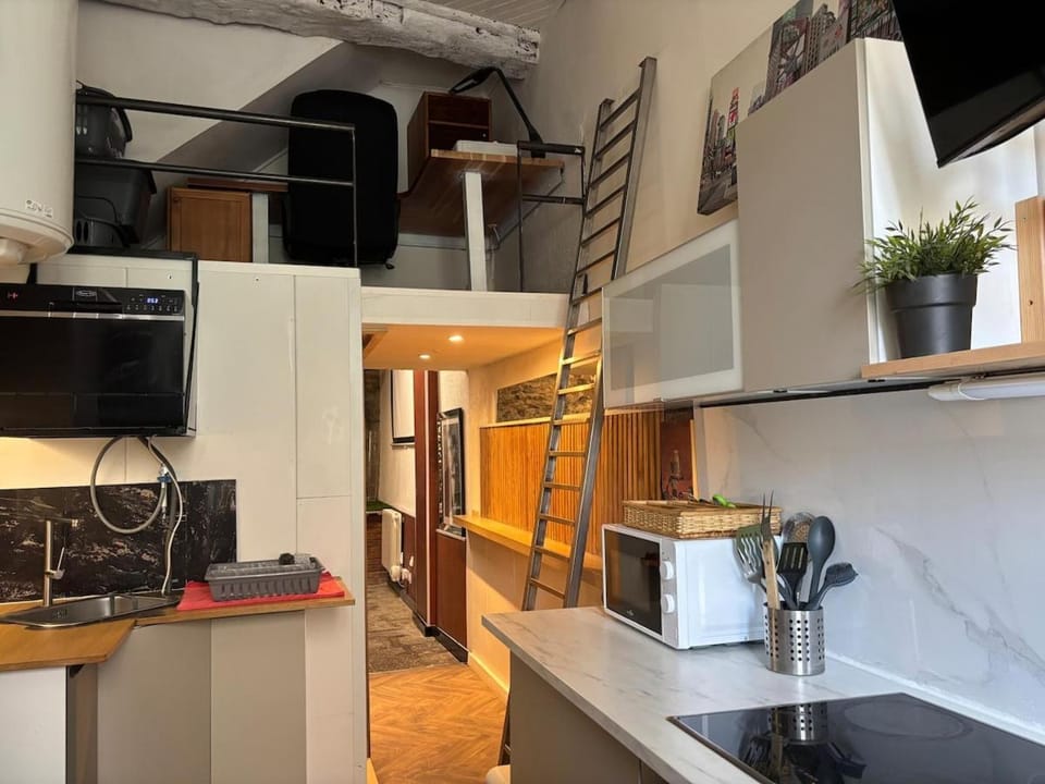 Cocon atypique et chaleureux en plein centre Apartment in Clermont-Ferrand