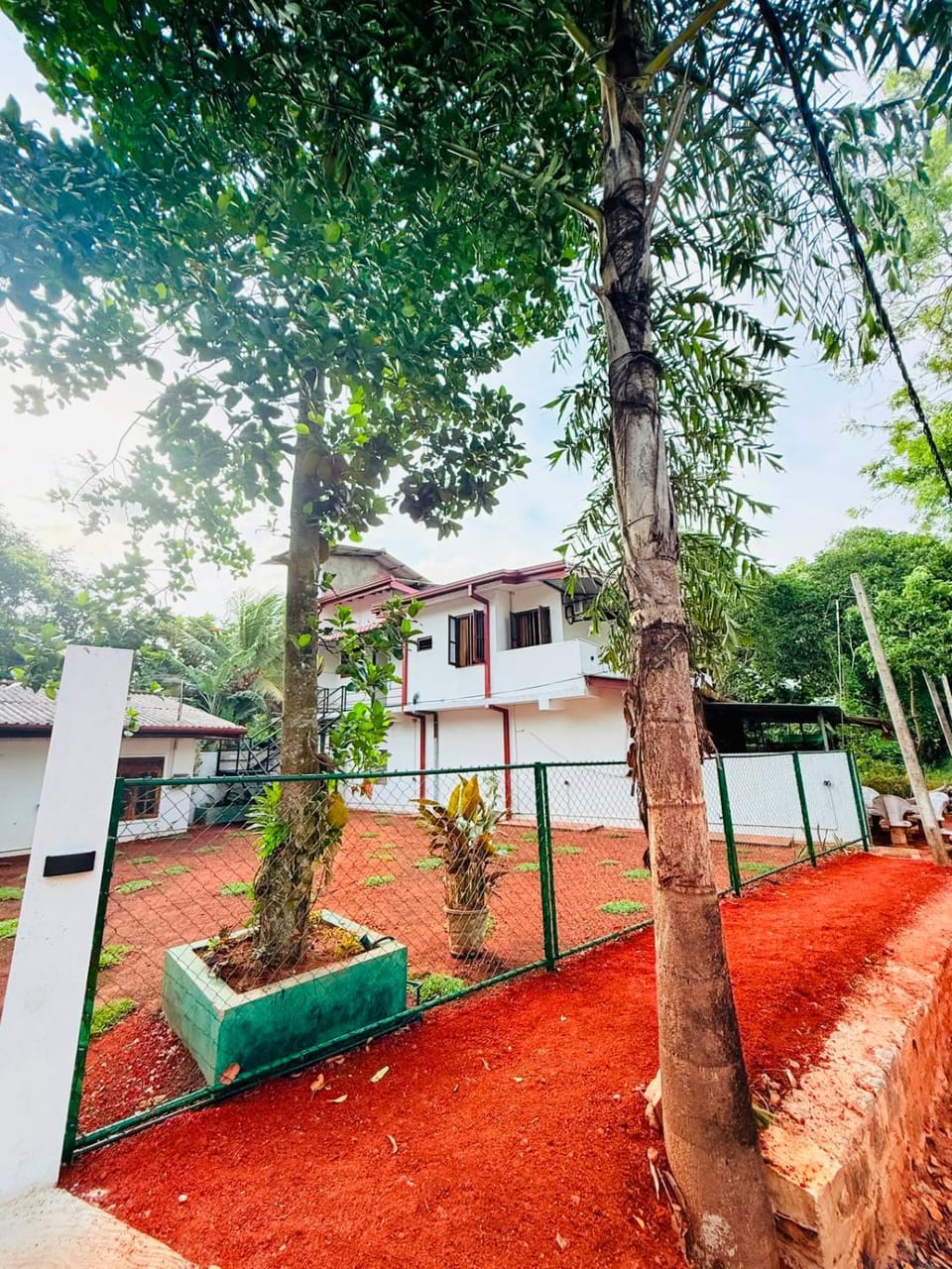 Ama Rest Anuradhapura Bed and Breakfast in Sri Lanka