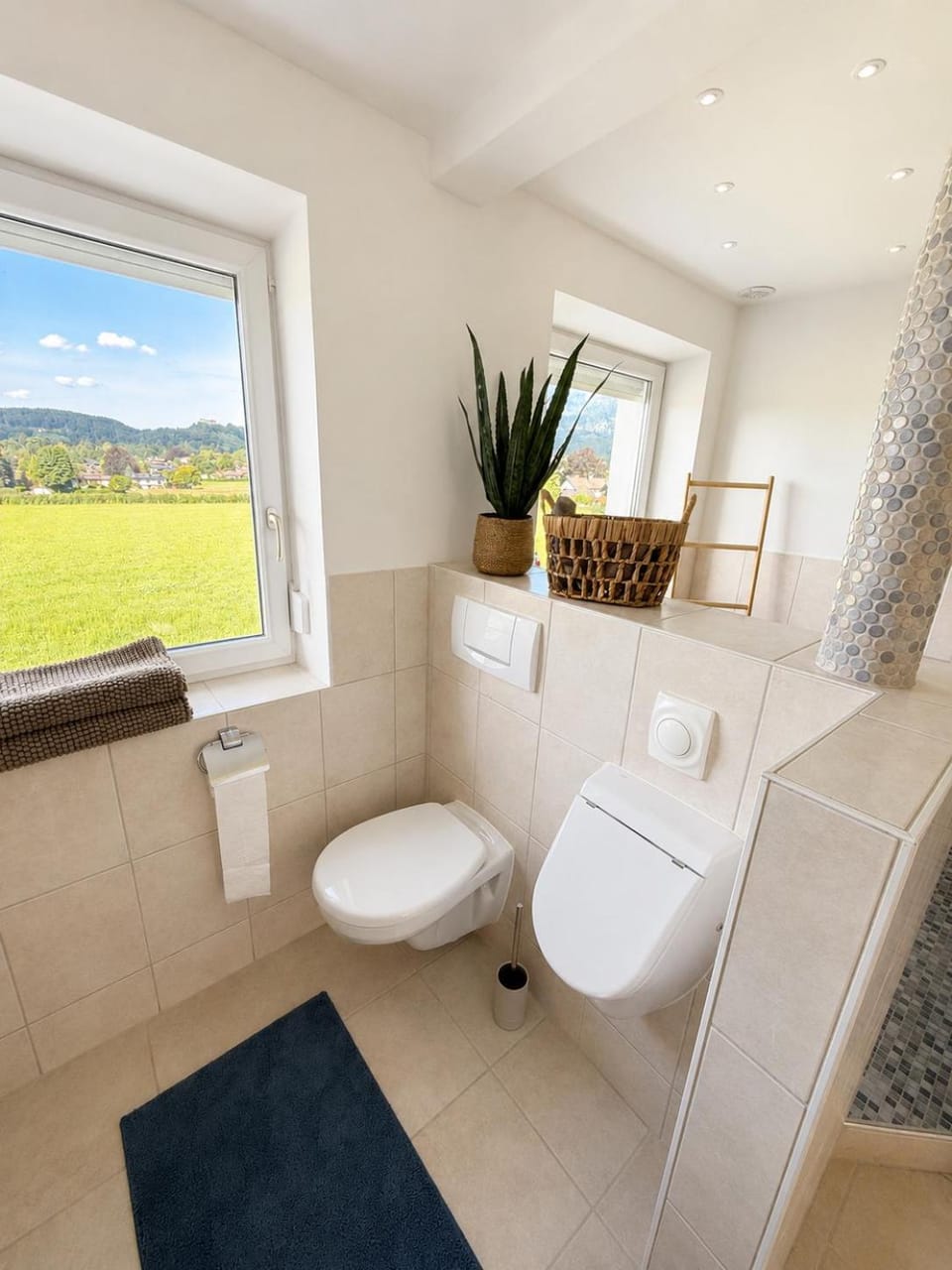 Toilet, Bathroom