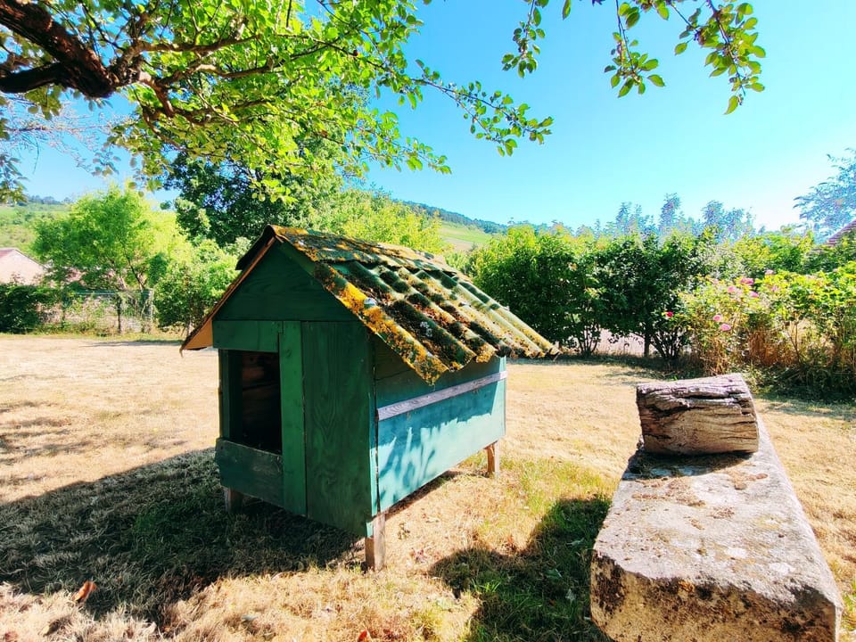 Animals, Pets, pet friendly