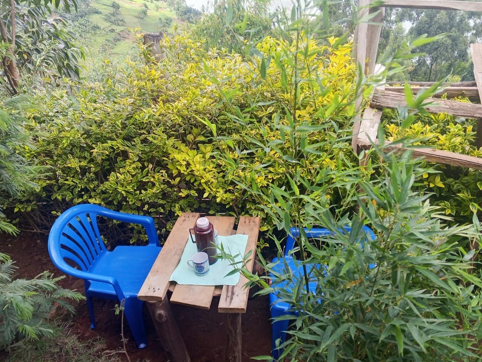 Sunshine Homestay Experience Bunyonyi Apartment in Kampala