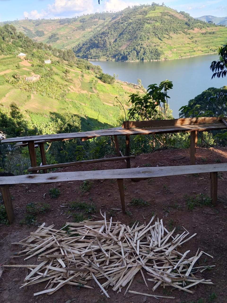 Sunshine Homestay Experience Bunyonyi Apartment in Kampala