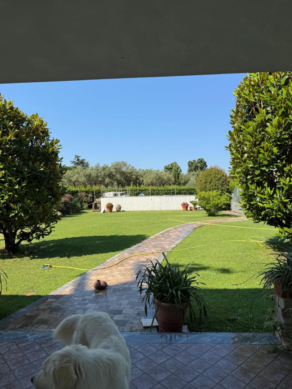 villa dei gigli Apartment in Pietrasanta