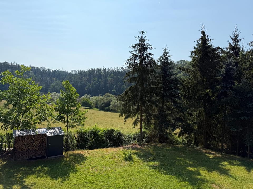 Garden view