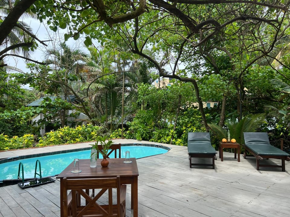 Patio, Day, Natural landscape, Garden, Garden view, Pool view, Swimming pool, sunbed