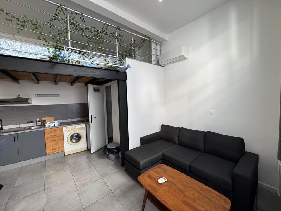 Le loft d'Anatole Apartment in Nice