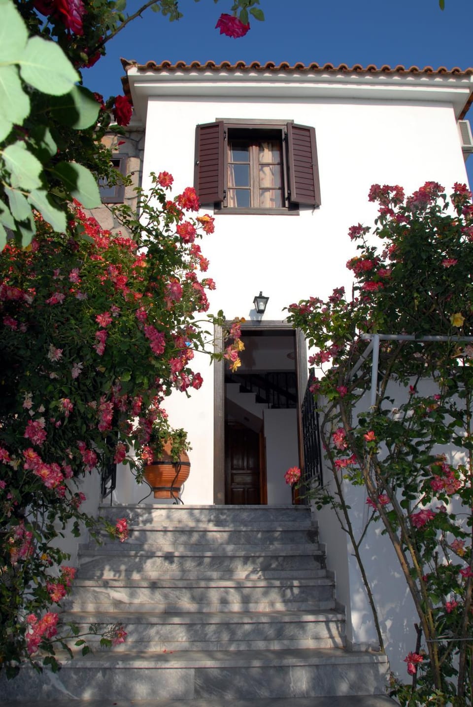 Property building, Garden, Garden view