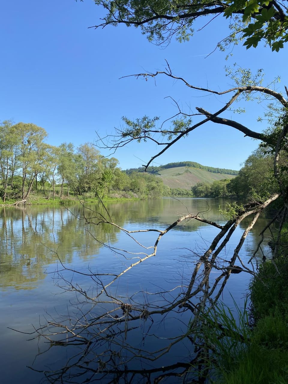 Natural landscape