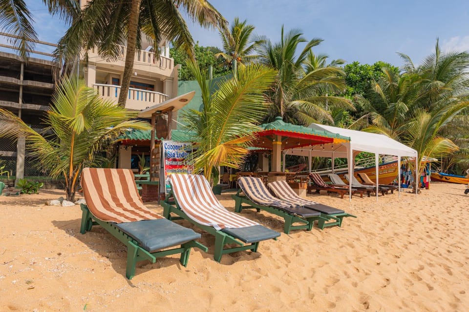 Natural landscape, Beach, Beach
