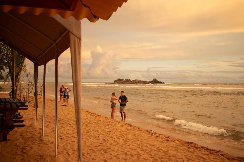 Beach, Sea view, Sunset, group of guests