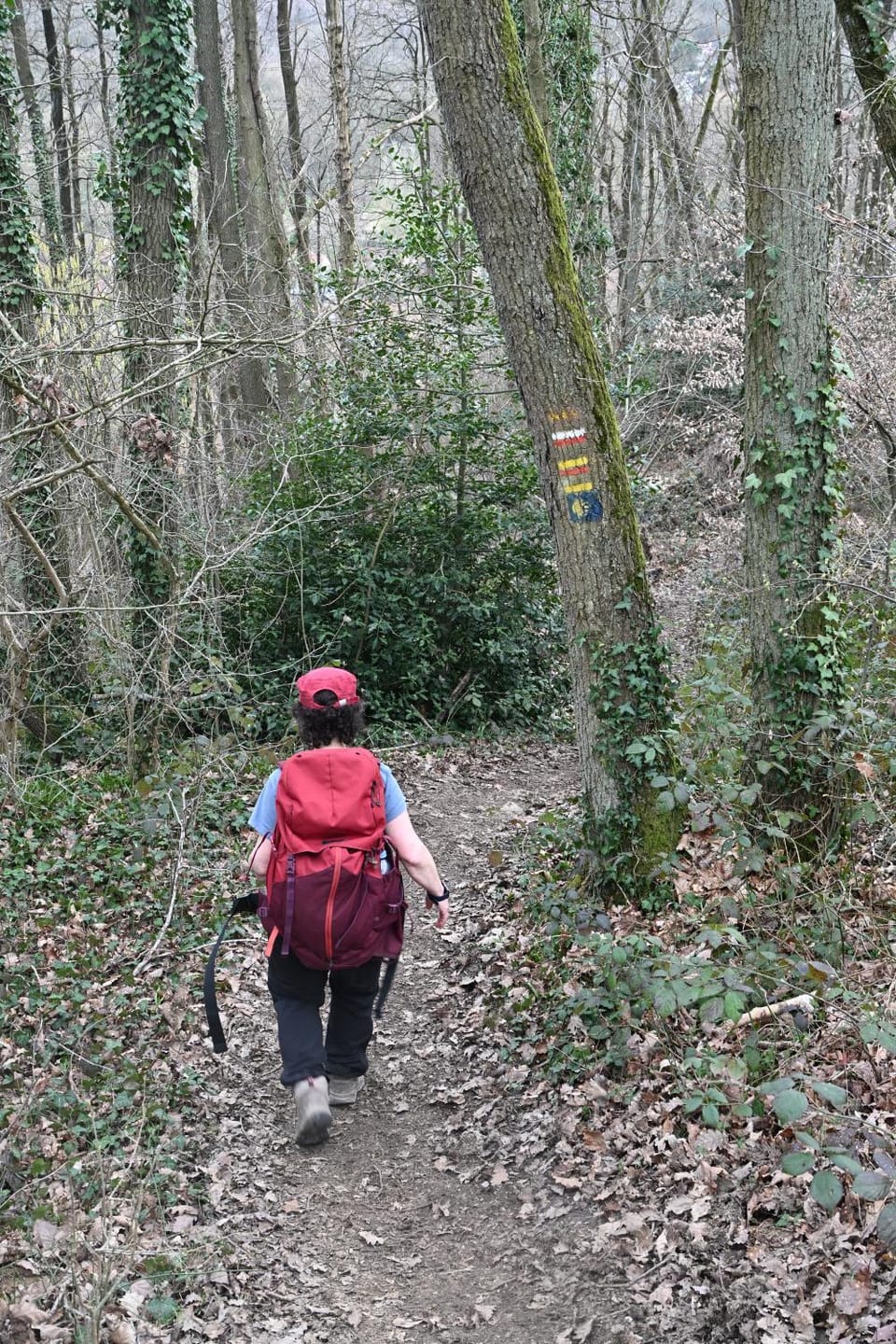 Hiking