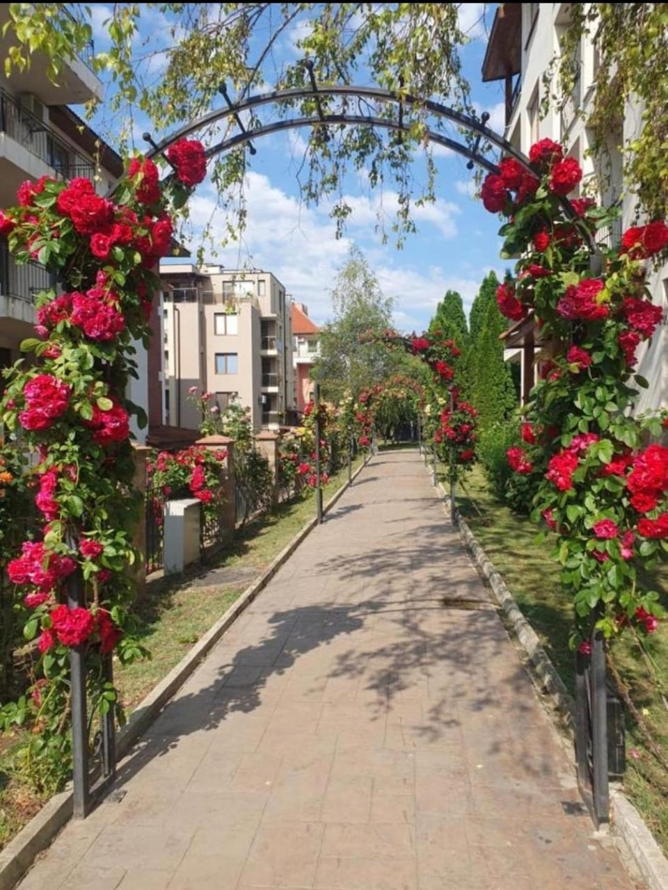Garden view
