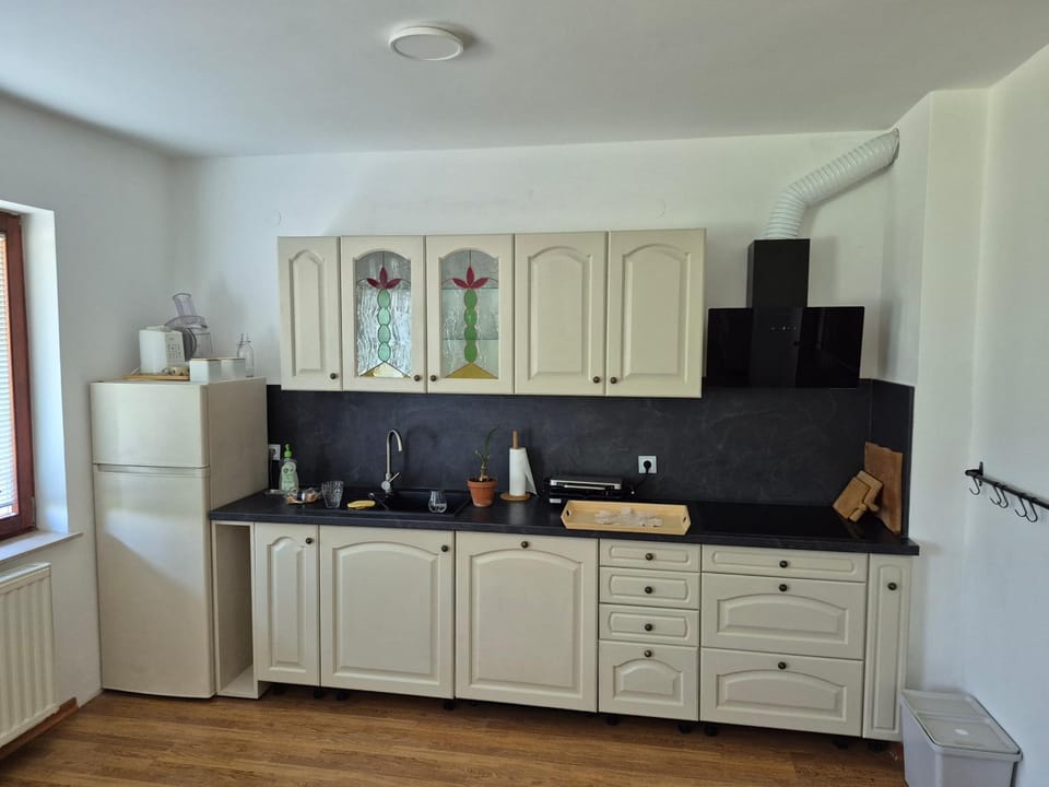 Kitchen or kitchenette, dishwasher, stove