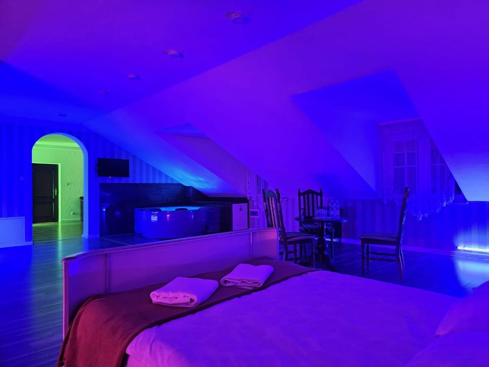 Hotel Wellness & SPA Antyczny Dwór Hotel in Poland