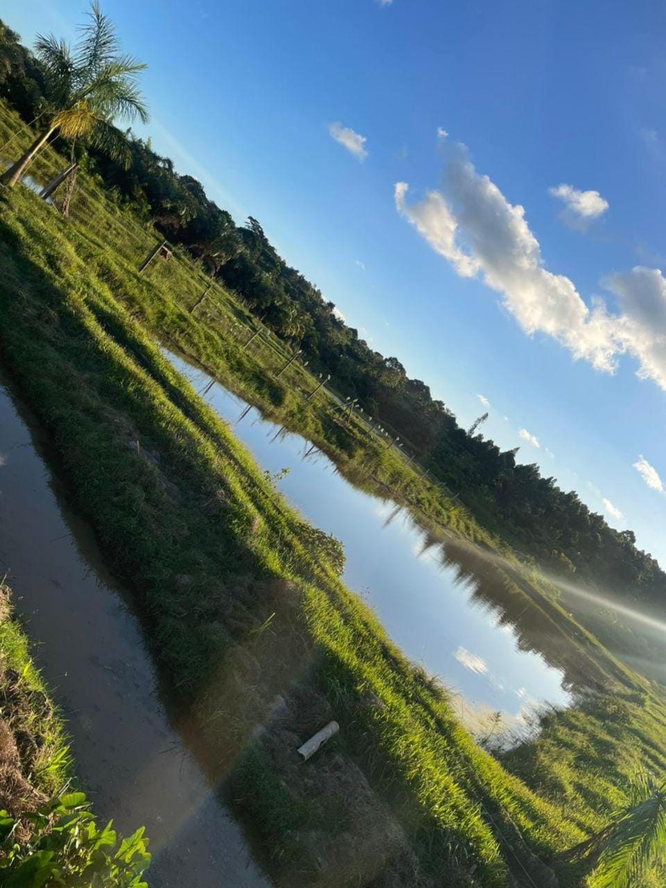 Venna Farm Lodge Farm Stay in Uganda