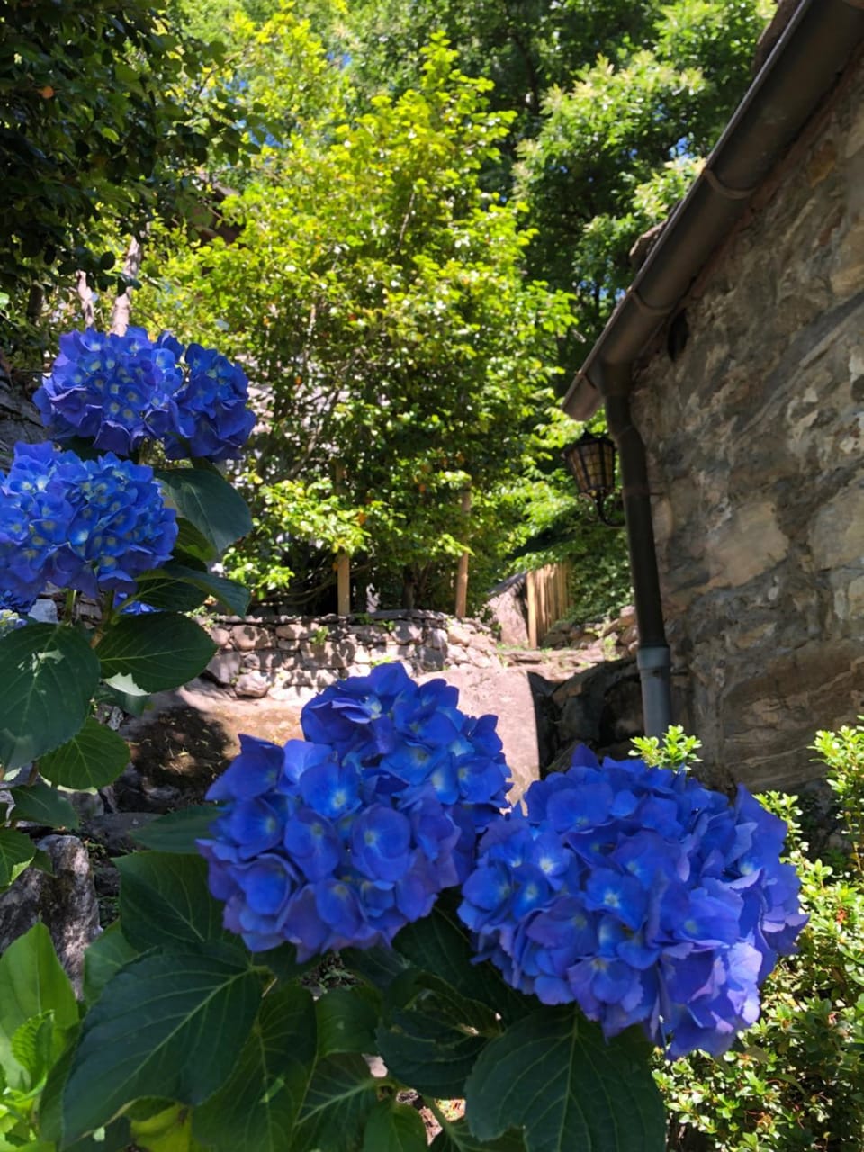 Cà dal Bosc e Cà sgrüscia House in Canton of Ticino