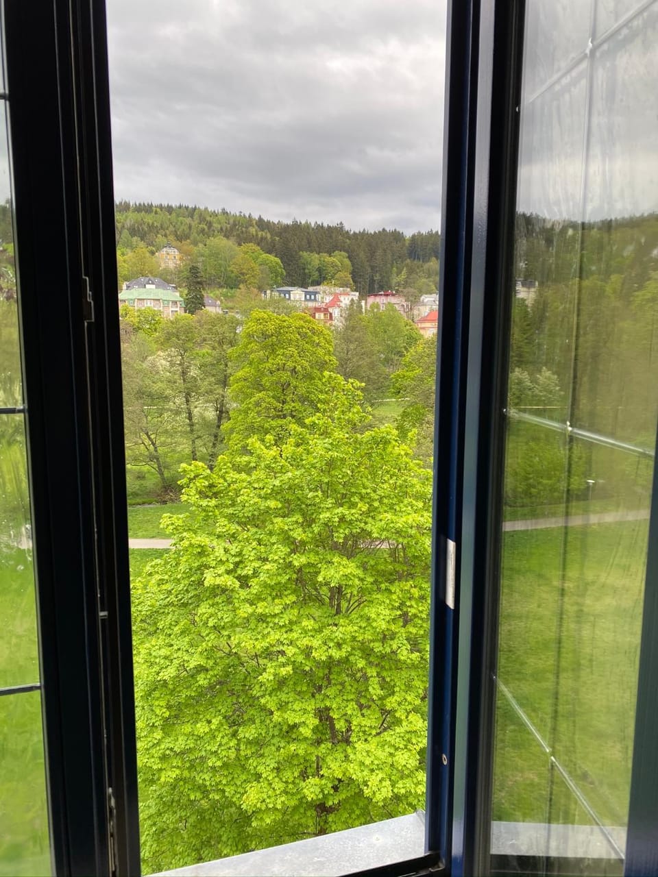 Garden view