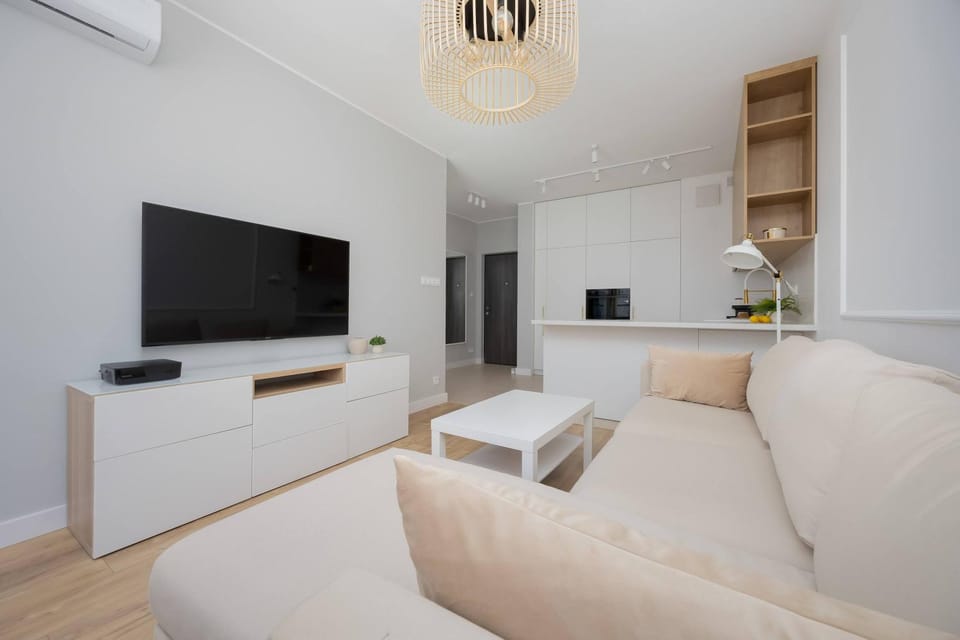 TV and multimedia, Living room, Seating area, Evening entertainment, air conditioner