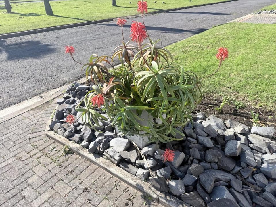 CCV Beach House Bed and Breakfast in Eastern Cape