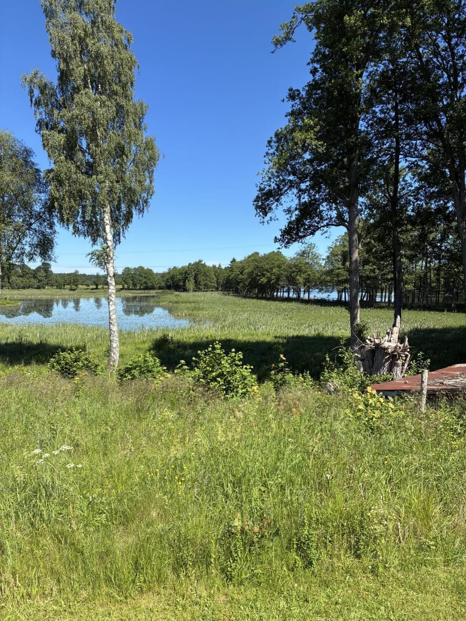 River view
