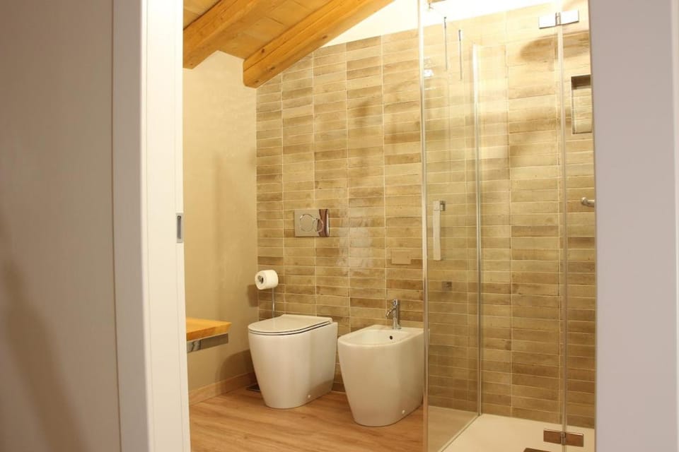 Shower, Toilet, Bathroom, bidet