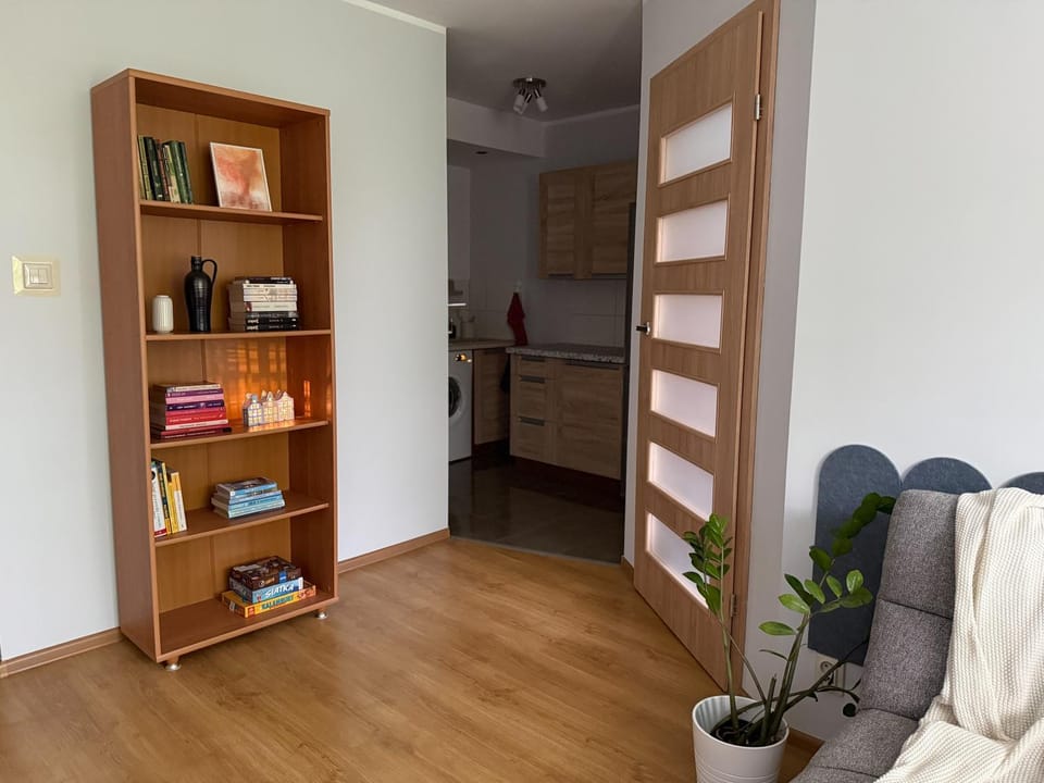 Living room, kitchen