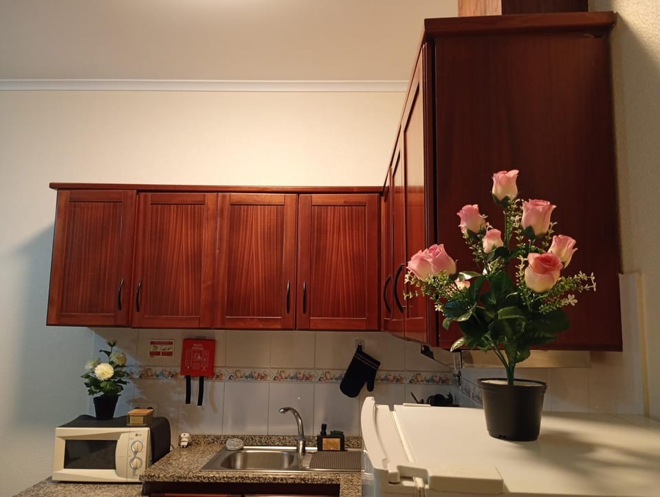 Kitchen or kitchenette, kitchen