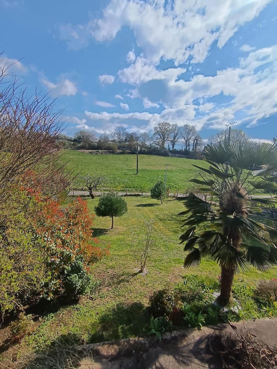 Garden, Garden view