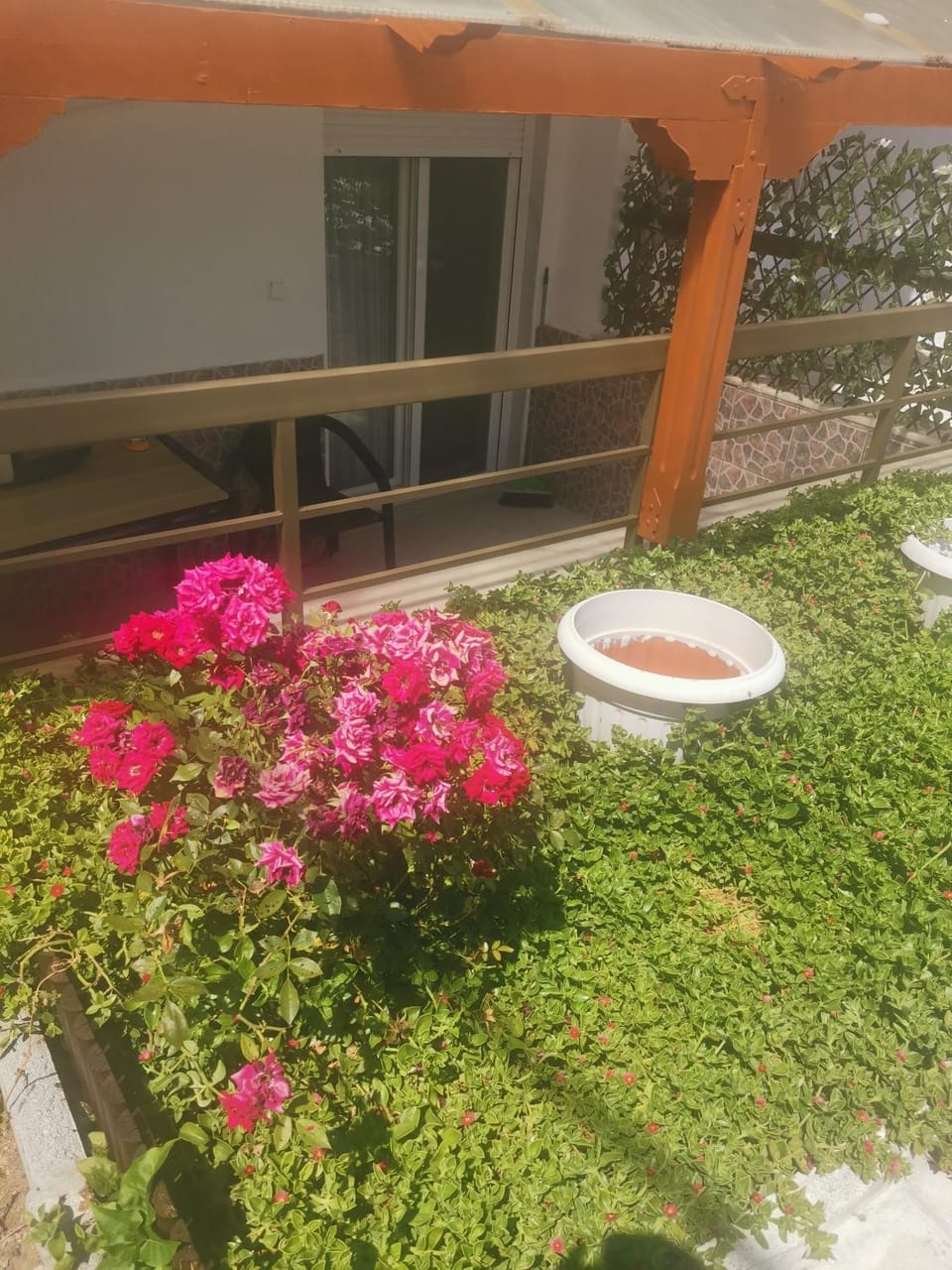Property building, Garden, Garden view