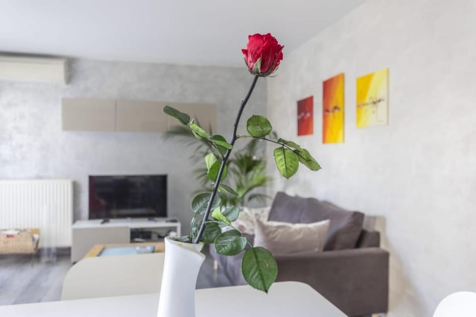 Beautiful Port Marianne Apt, Private Parking, 4 people Apartment in Montpellier