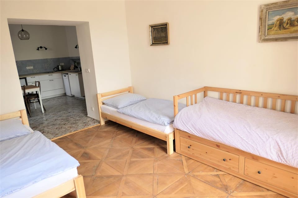 Heldův pokojík v centru města Apartment in Czechia