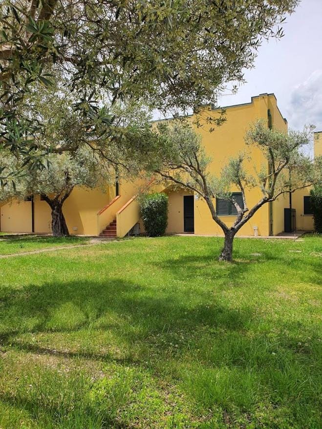 Property building, Garden view