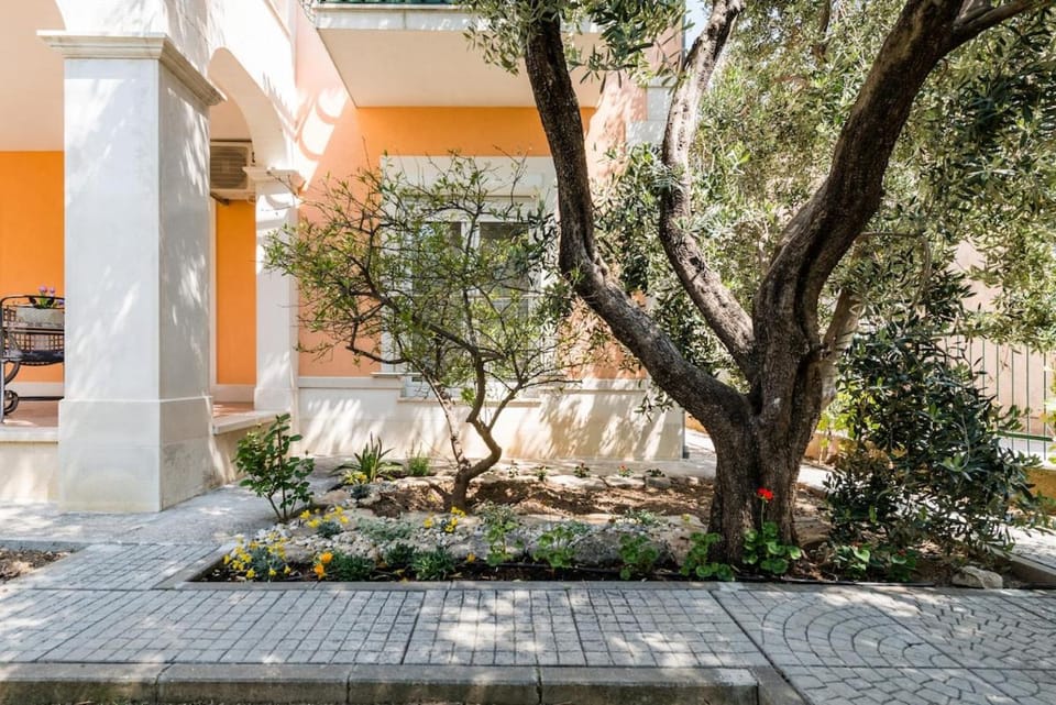 Green green grass of home Apartment in Split