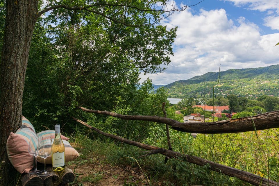Visegrád Farmhouse with Private Forest & Panorama Apartment in Hungary