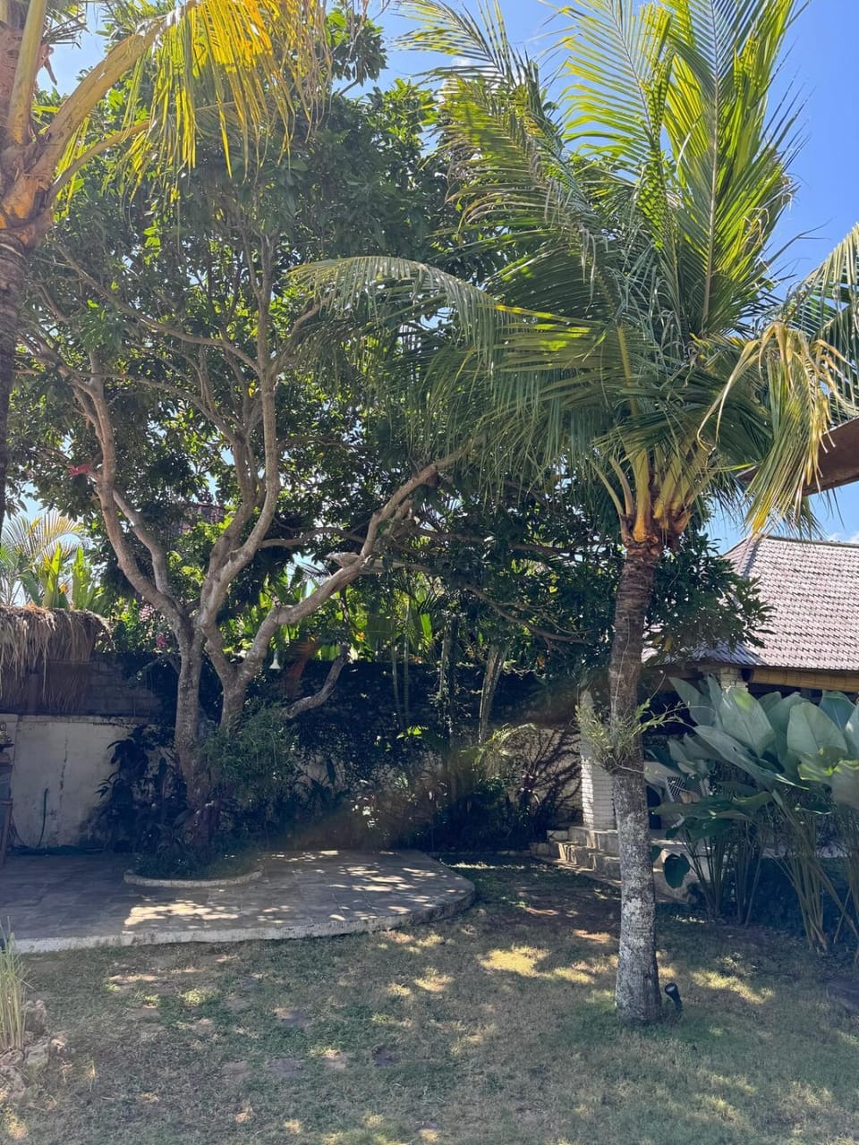 Cozy Garden Bungalow with Shared Pool Bed and Breakfast in Bali