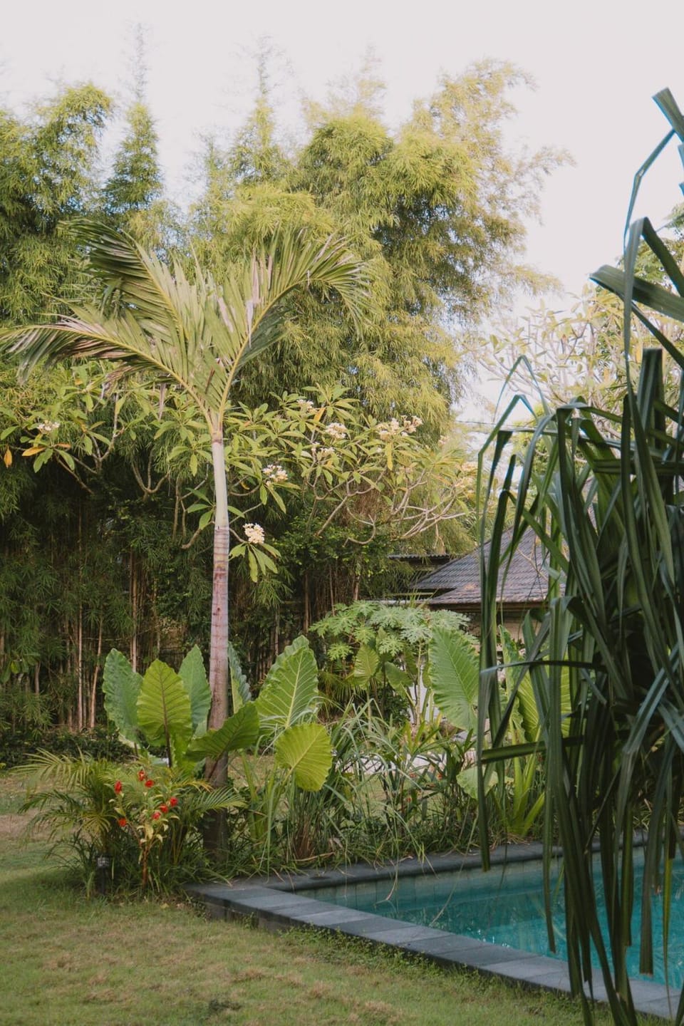 Cozy Garden Bungalow with Shared Pool Bed and Breakfast in Bali