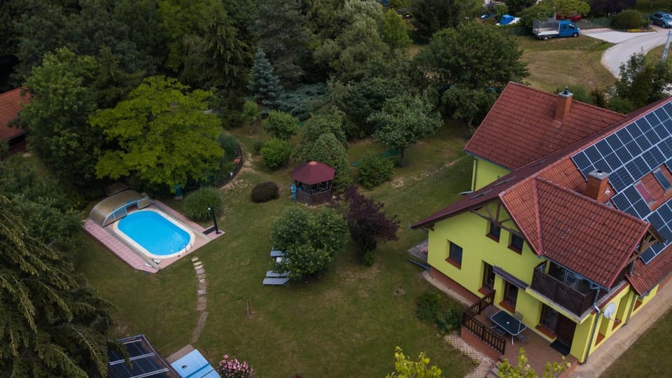 Day, Bird's eye view, Garden, Swimming pool, sunbed