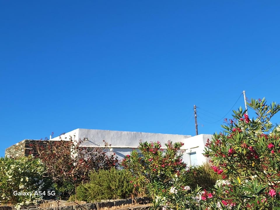 Ancienne ferme traditionnelle House in Milos