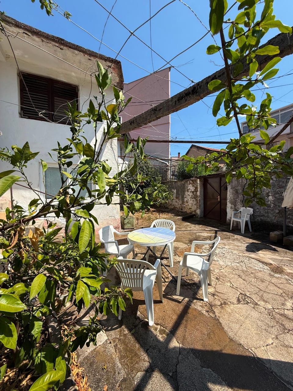 Day, Garden