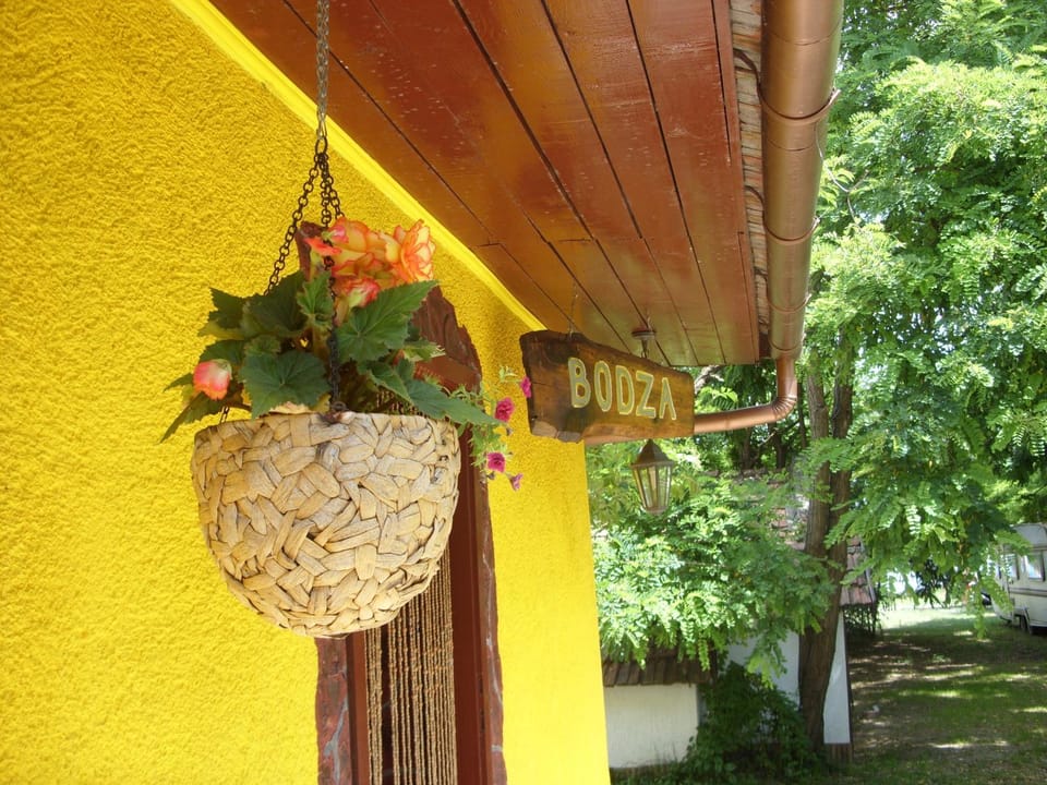 BODZA Apartment House in Hungary