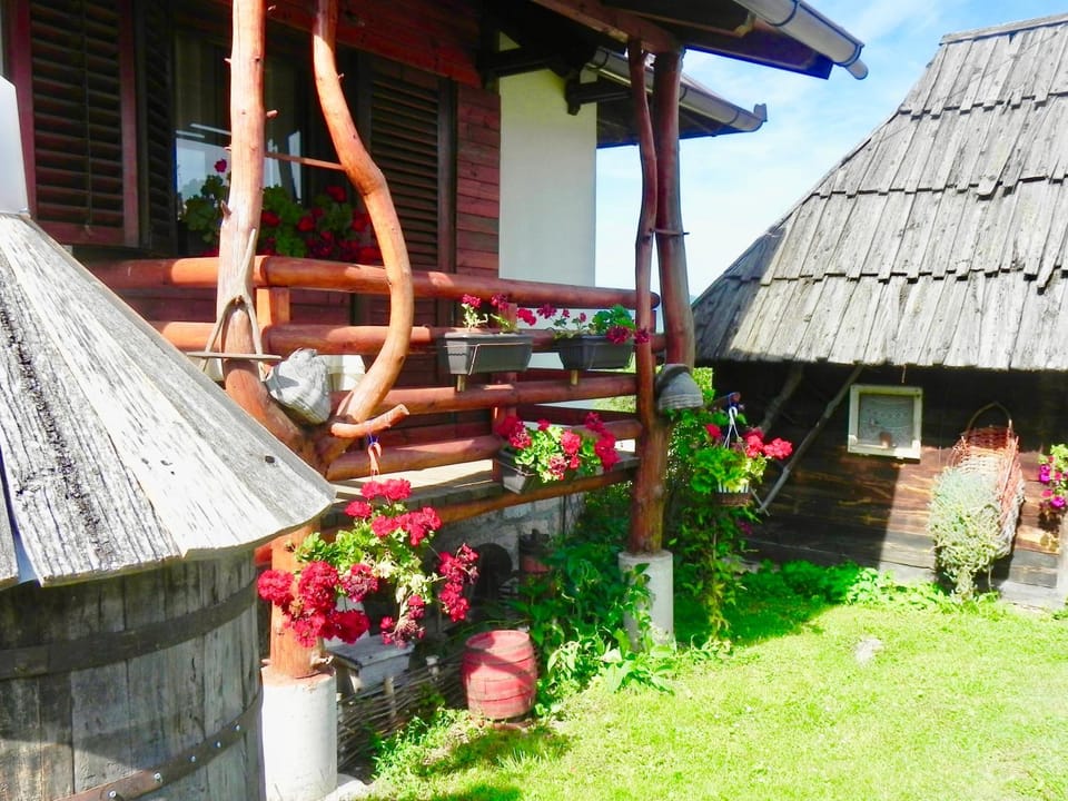 Patio, Facade/entrance, Garden