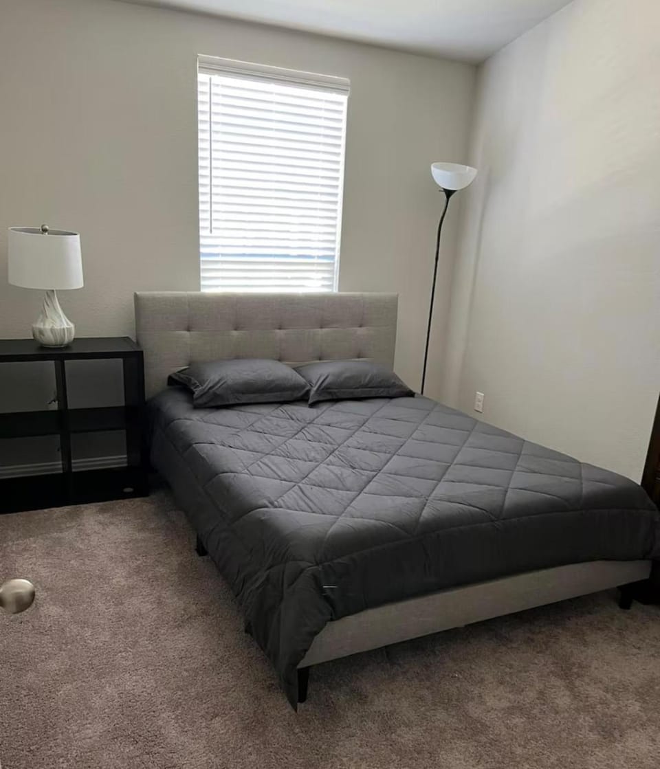 Modern Denton Stay,1BR,NearUNT,TW Apartment in Denton